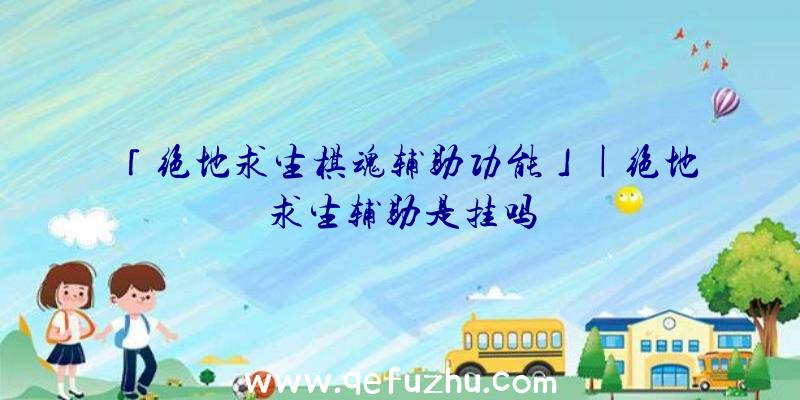 「绝地求生棋魂辅助功能」|绝地求生辅助是挂吗